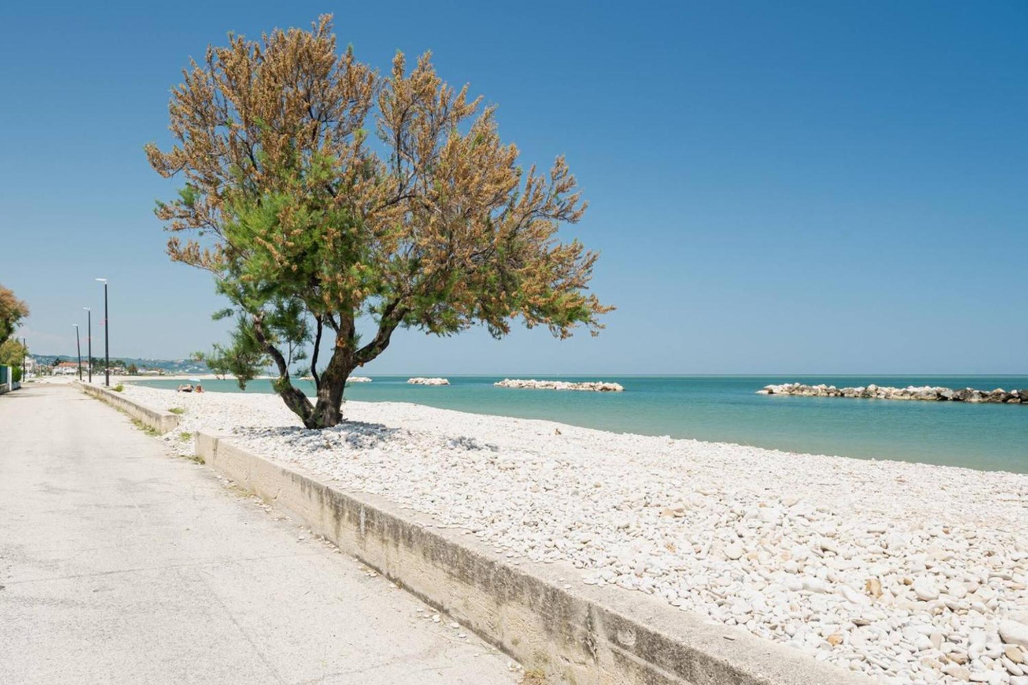 Ostriche - Yourplace Abruzzo Torino di Sangro Exterior foto